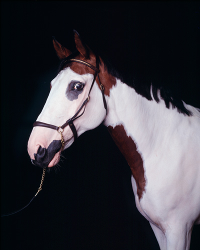 "AQUAWELL I", 2002, C-print, 95 x 80 cm