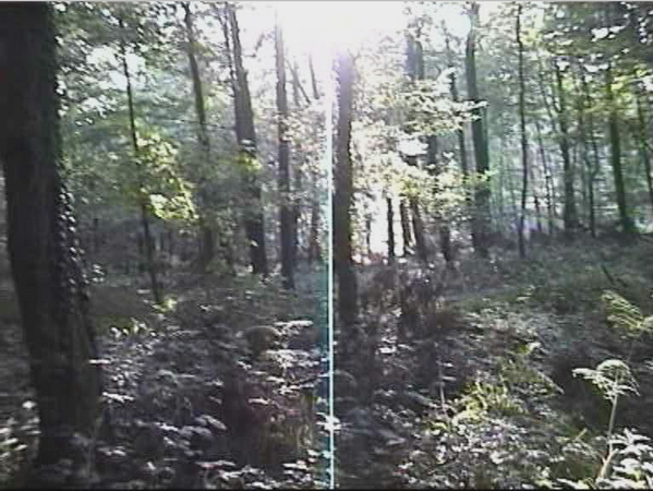 Still from 8mm film "ATTACK/ATTACKED", camera 1, 1996