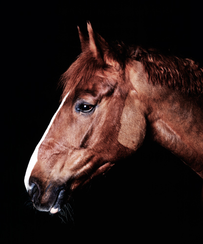 "DANCER", 2002, C-print, 95 x 80 cm