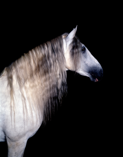 "ELUISE", 2002, C-print, 95 x 80 cm